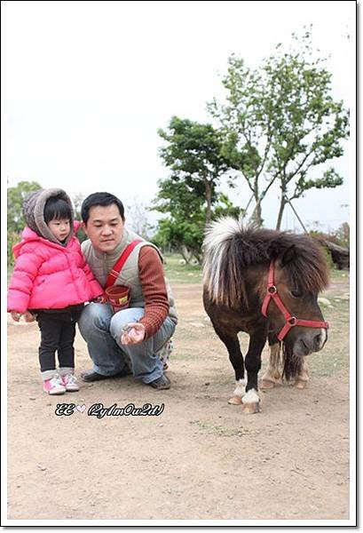 拔與E想餵小馬.JPG