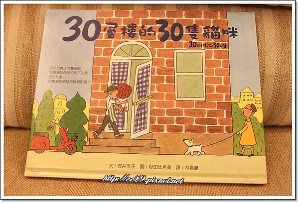 30層樓的30隻貓咪.jpg