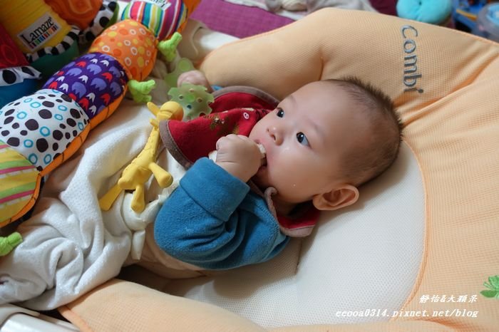 DSC07895.jpg