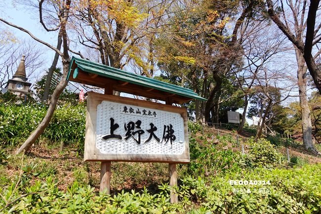 DSC03180_副本.jpg