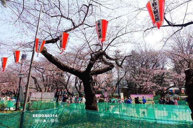 DSC03184_副本.jpg