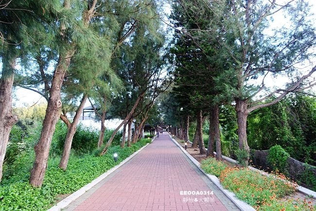 DSC05069_副本.jpg