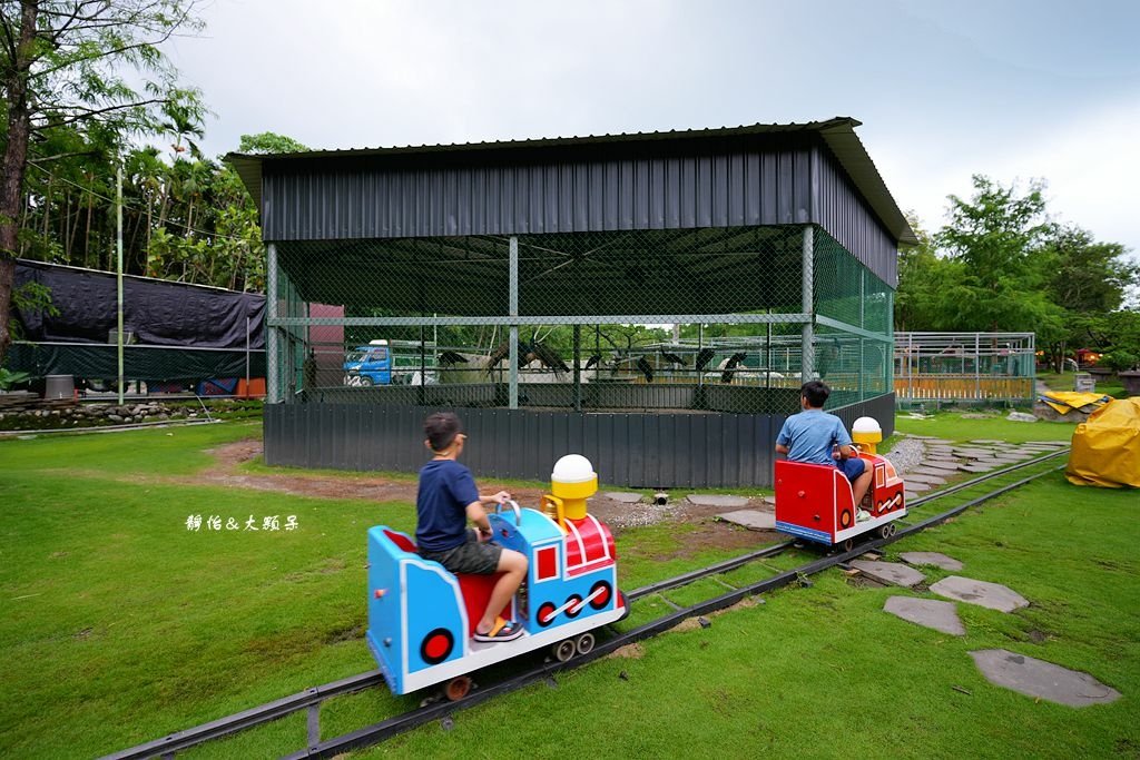 洄瀾灣休閒農場 ❙ 水豚君、狐獴、笑笑羊，還有小火車，花蓮洄