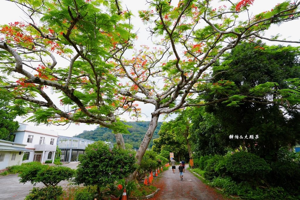 關西中壢老牌牛肉麵 ❙ 有停車場、用餐免費喝茶及咖啡，新竹關