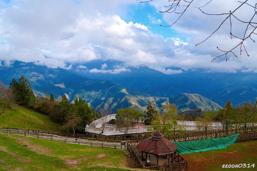 南投旅遊「清境農場」，青青草原綿羊秀時間、門票資訊，親近與餵