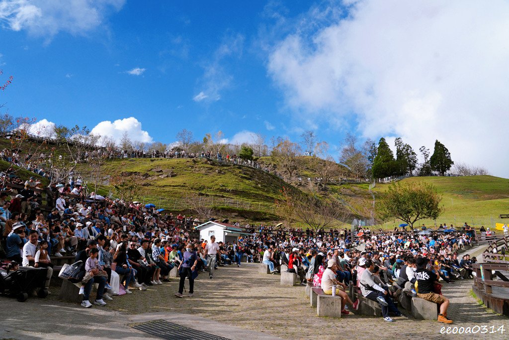 南投旅遊「清境農場」，青青草原綿羊秀時間、門票資訊，親近與餵