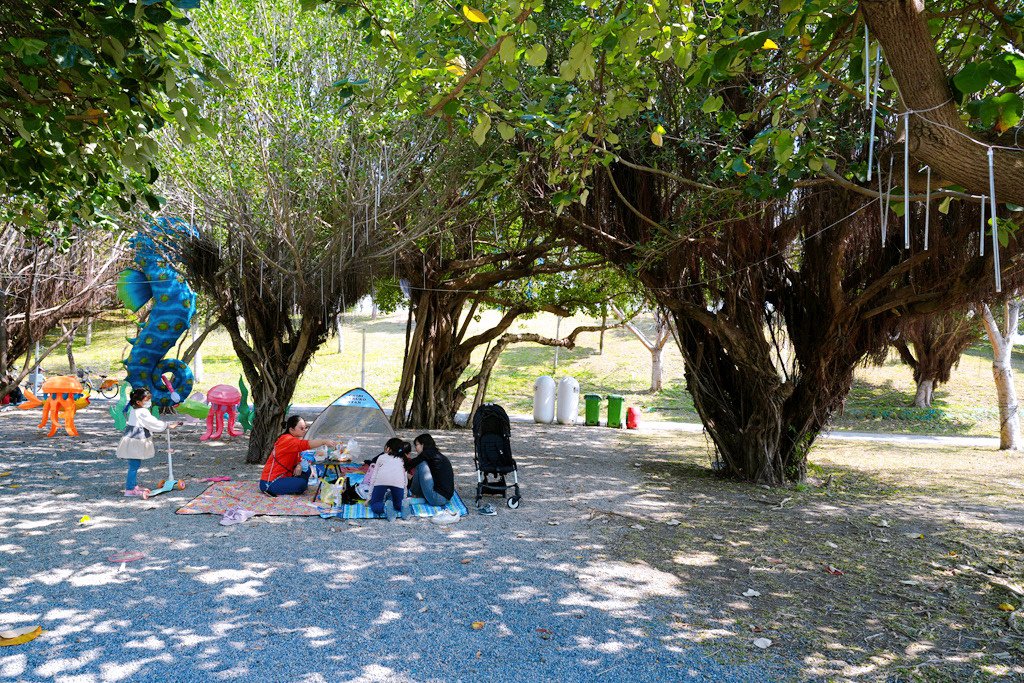 全台最長32M雙軌滑索「台中中央公園飛行美樂地」，主題式飛行