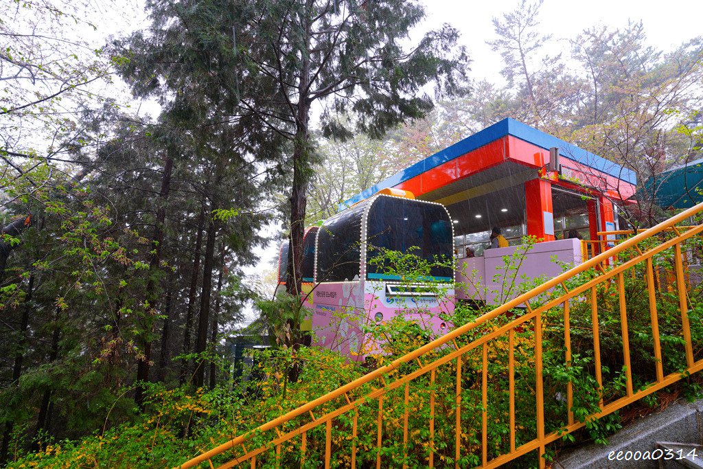 釜山賞櫻花行程「慶和火車站、余佐川羅曼史橋、帝皇山公園」，鎮