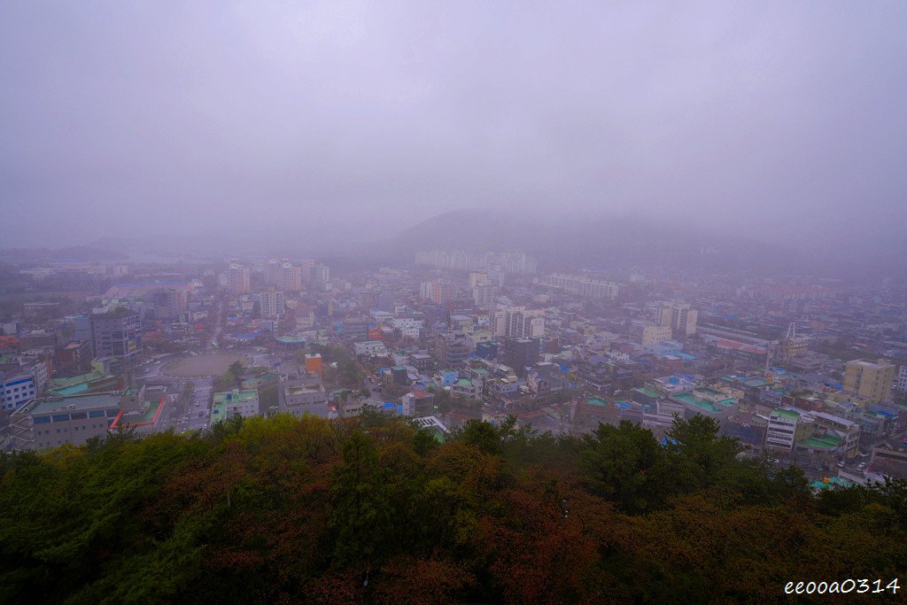 釜山賞櫻花行程「慶和火車站、余佐川羅曼史橋、帝皇山公園」，鎮