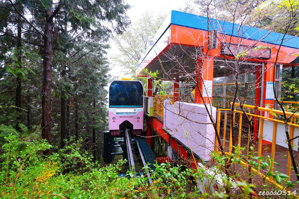 釜山賞櫻花行程「慶和火車站、余佐川羅曼史橋、帝皇山公園」，鎮