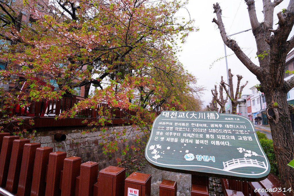 釜山賞櫻花行程「慶和火車站、余佐川羅曼史橋、帝皇山公園」，鎮