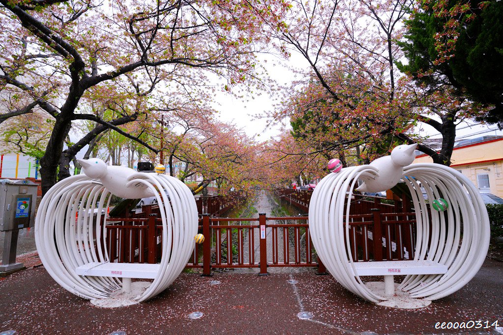 釜山賞櫻花行程「慶和火車站、余佐川羅曼史橋、帝皇山公園」，鎮