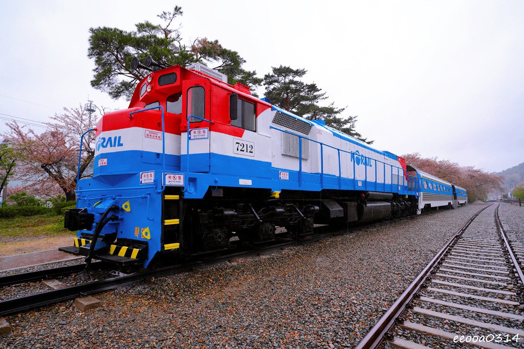 釜山賞櫻花行程「慶和火車站、余佐川羅曼史橋、帝皇山公園」，鎮