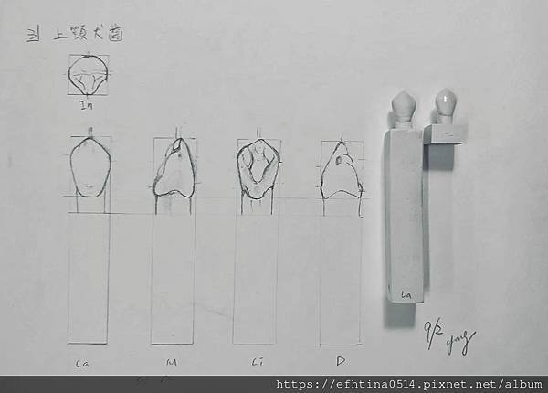 112學年度 牙醫術科全修研習