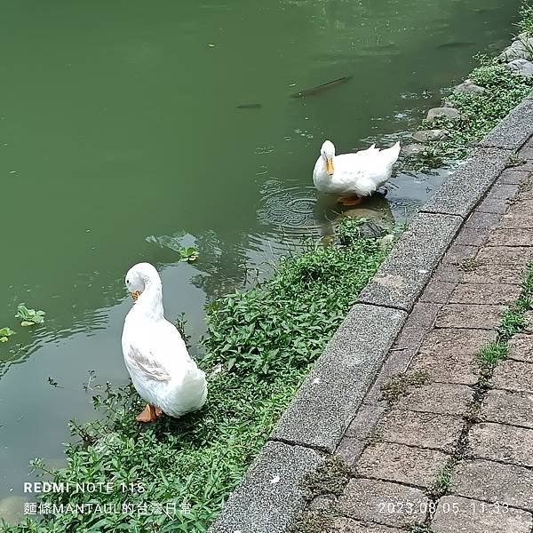 【走。遊宜蘭】望龍埤、天送埤火車站、海岸