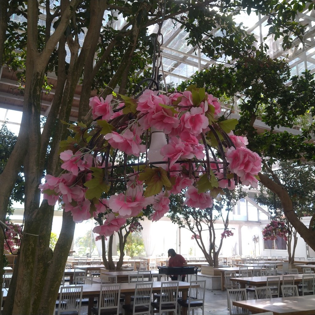 【走。遊宜蘭】香草菲菲 芳香植物博物館