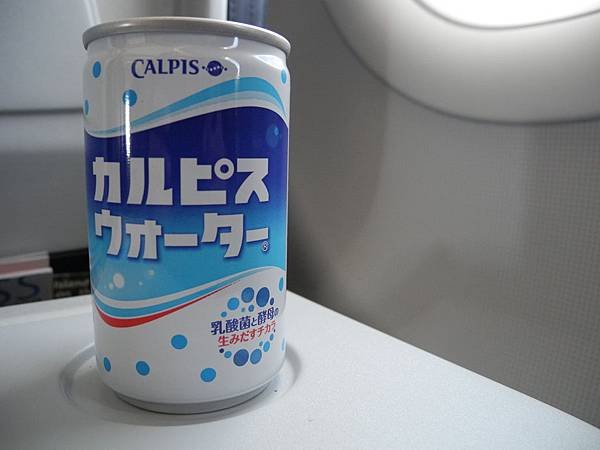 DSCN0604.JPG