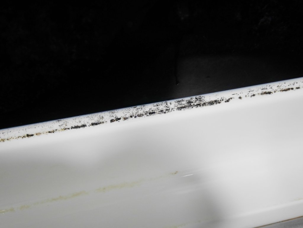 潔淨學 矽利康除霉凝膠 (9).JPG