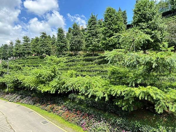 [南投景點] HOHOCHA喝喝茶 台灣香日月潭紅茶廠 吃茶