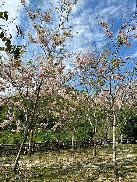 LINE_ALBUM_六二山房_250427_40.jpg