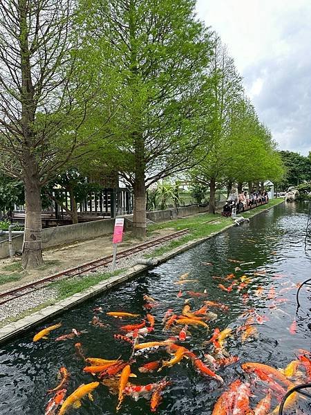 LINE_ALBUM_千巧谷_250507_41.jpg