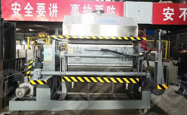 Beston Fruit Tray Making Machine For Sale.jpg