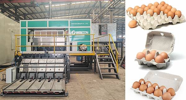 Invest in Beston Egg Tray Machine and Make Paper Egg Trays.jpg