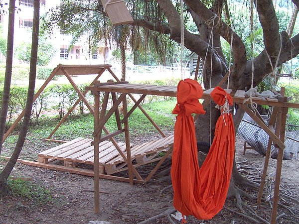 PICT3835.JPG