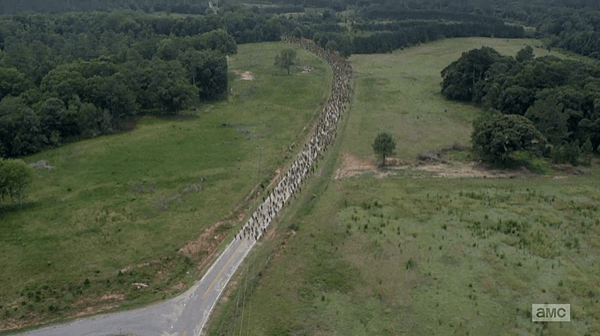 《陰屍路 The Walking Dead》第六季 EP3 63.png
