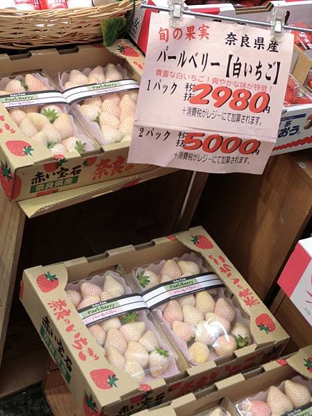 照片 556