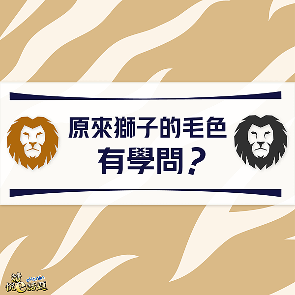 原來獅子的毛色有學問-方形-02.png