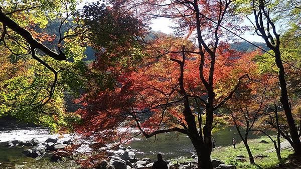DSC07703.JPG
