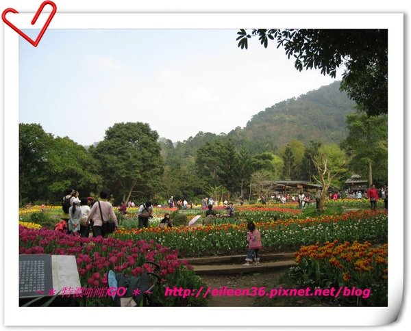 新竹關西半日遊035.JPG