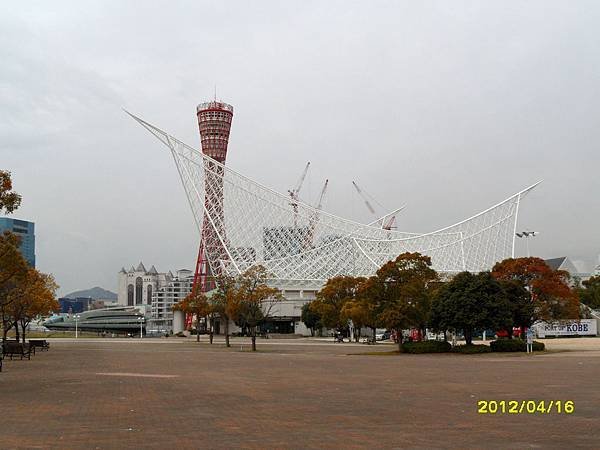 SAM_4726