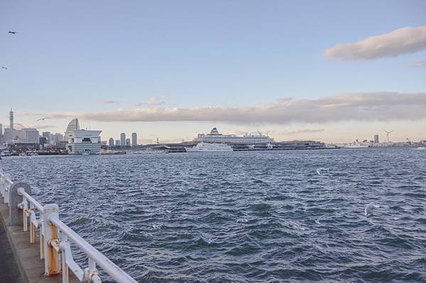 DSC_5181-191.jpg