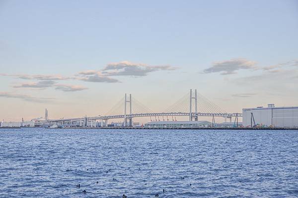 DSC_5211-214.jpg