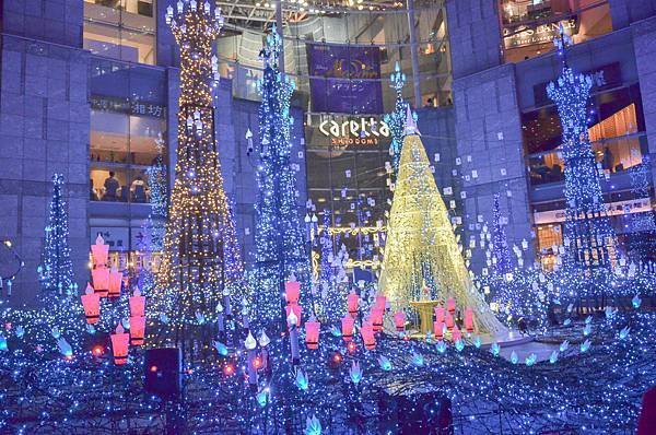 DSC_5396-430.jpg