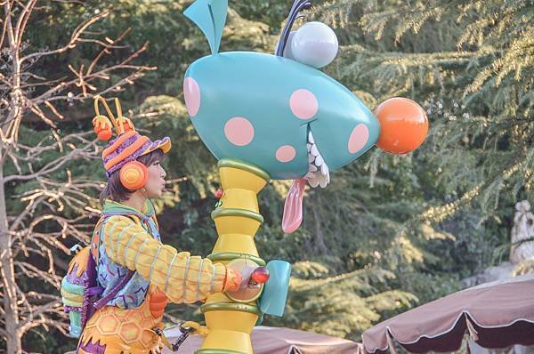 DSC_6135-530.jpg