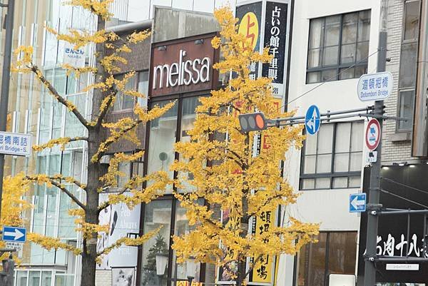 [日本-九州]福岡空港直奔大阪：望月淳20周年 -蒼に巡る旅