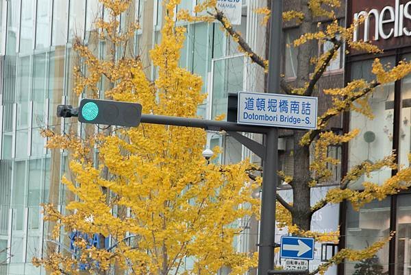 [日本-九州]福岡空港直奔大阪：望月淳20周年 -蒼に巡る旅