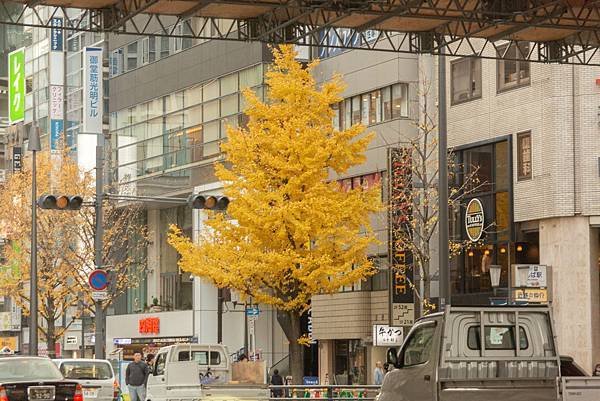 [日本-九州]福岡空港直奔大阪：望月淳20周年 -蒼に巡る旅