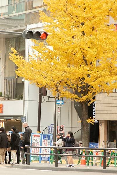 [日本-九州]福岡空港直奔大阪：望月淳20周年 -蒼に巡る旅