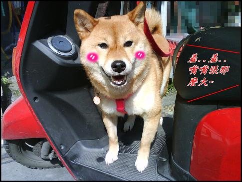 2.JPG
