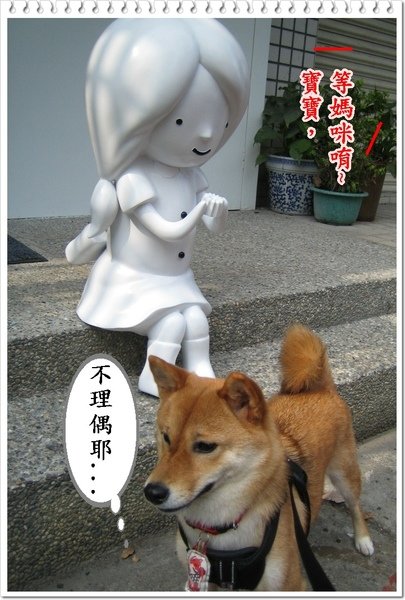 6.JPG