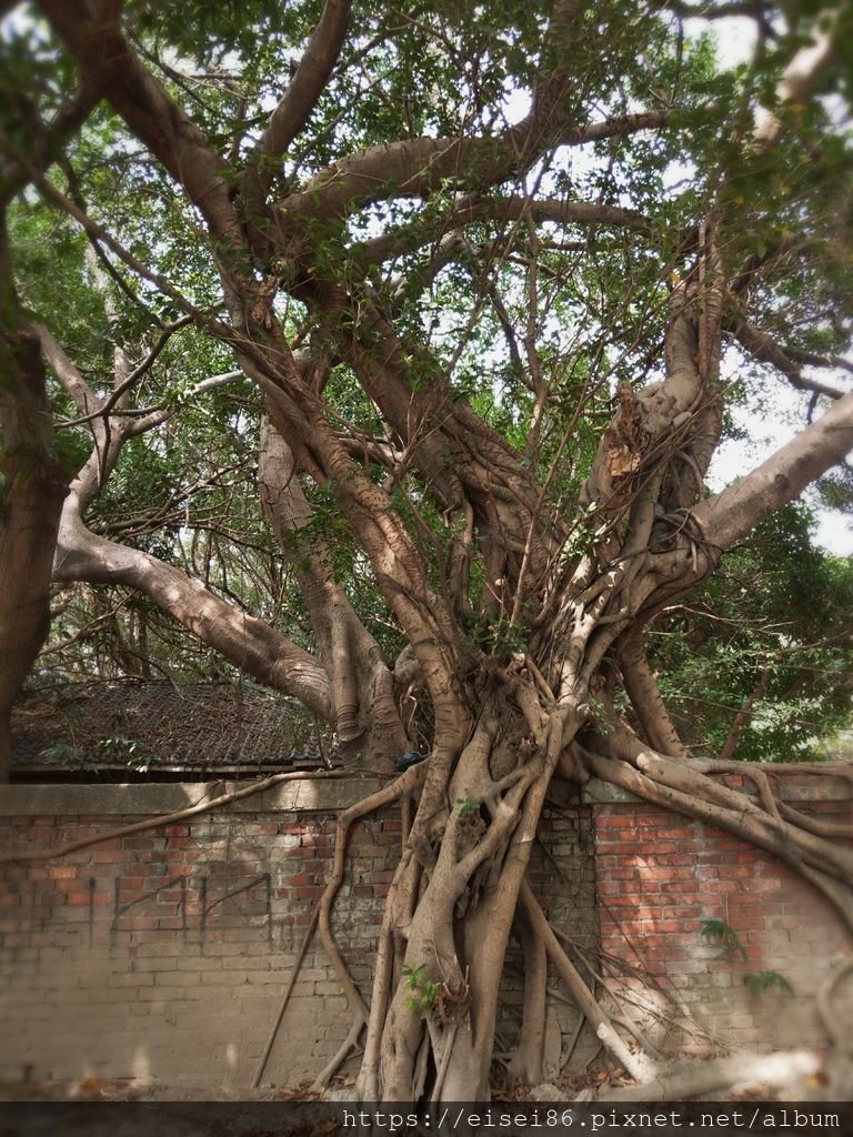 【城西】遺跡隱味．從河溝頭到新起町－機器局遺構ｘ西寧市場ｘ慈