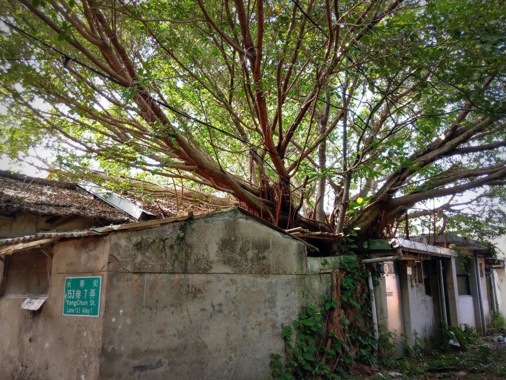 【城南】消失的眷村記憶－漫步永春街嘉禾新村