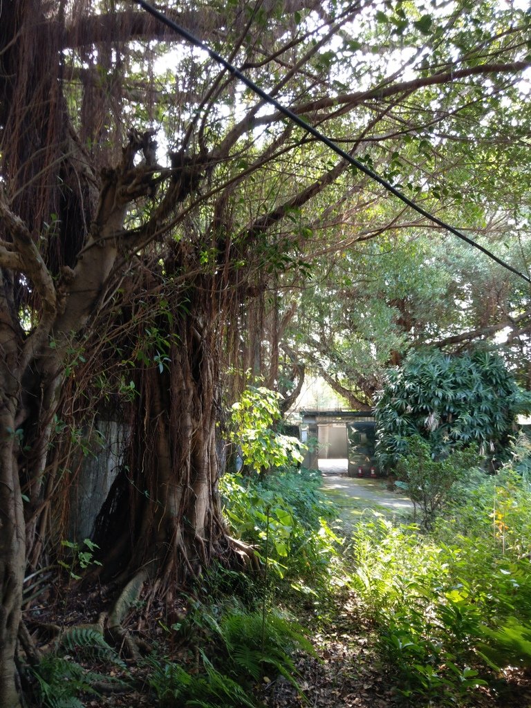 【城南】消失的眷村記憶－漫步永春街嘉禾新村
