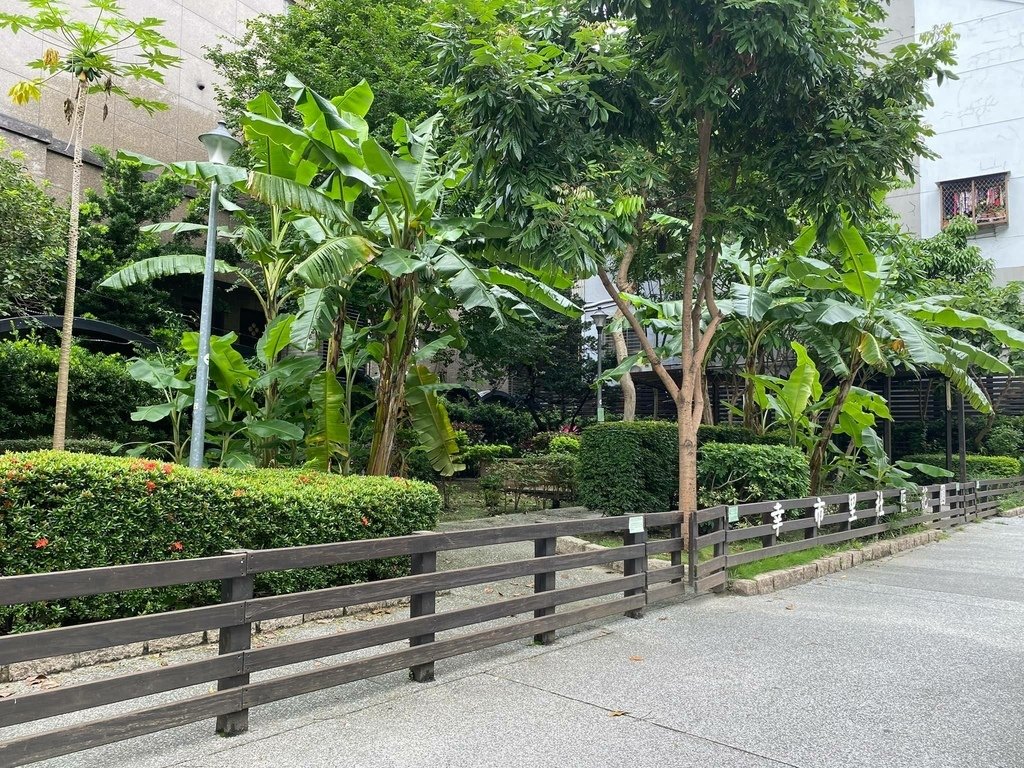 霧裡薛圳第二支線（四）仁愛忠孝：寬闊的河道。東門教會ｘ文房ｘ