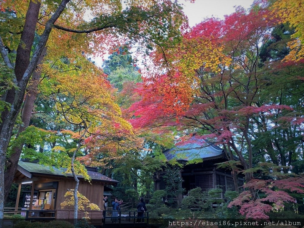 ★紅葉東北D5-1★日本百景猊鼻溪木舟遊＋投運石ｘ世界遺產中