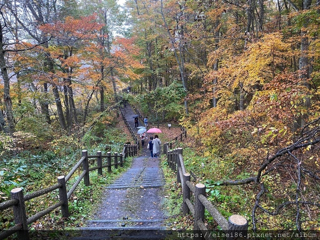 ★紅葉東北D6★東北賞楓葉名所鳴子峽ｘ陸奧森林湖畔公園